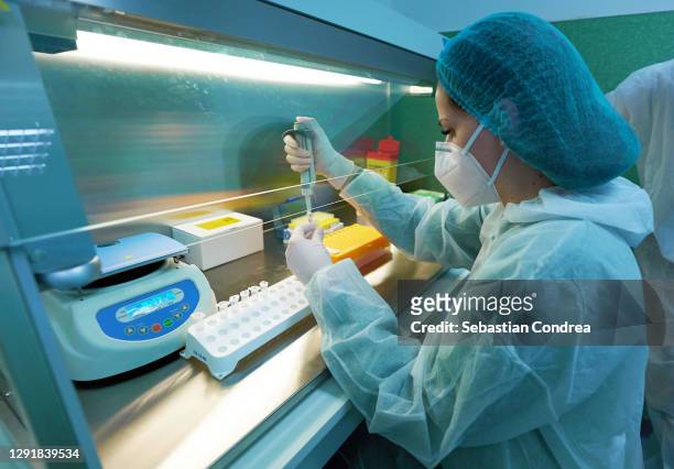 scientist conducting research in chemical lab. scientist working in lab. - rna foto e immagini stock