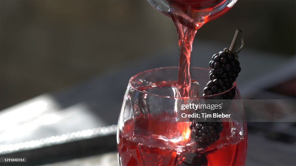 Classic Prohibition Cocktail, Blackberry Bramble or Blackberry Side Car