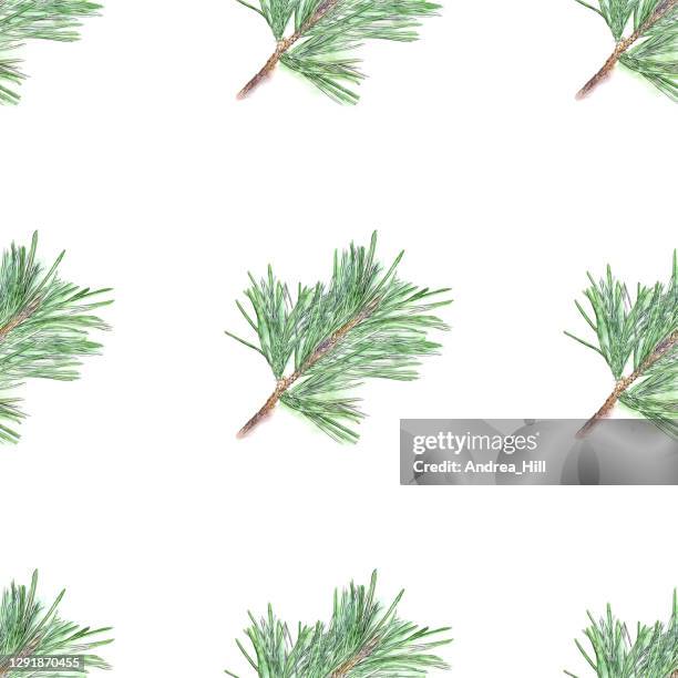 red pine branch ink and watercolor seamless pattern. vector eps10 illustration - pine tree close up stock illustrations