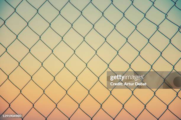 chainlink fence composition with clear sunset sky. - chainlink fence stock pictures, royalty-free photos & images