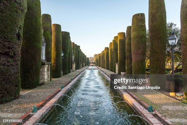 fountain in the gardens of the alcazar of catholic kings - アルカサル城塞 ストックフォトと画像