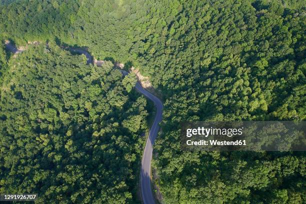 aerial view of highway stretching through green appalachian forest in summer - rural kentucky stock pictures, royalty-free photos & images