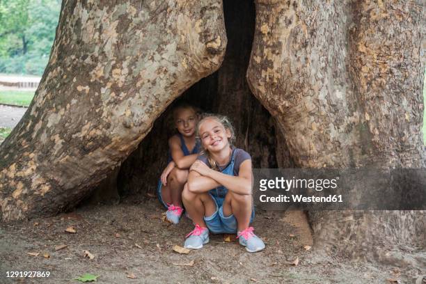 girls crouching while sitting in tree hollow at public park - hollow stock pictures, royalty-free photos & images