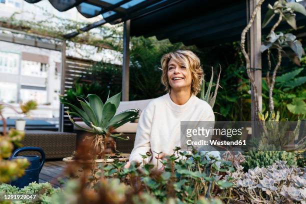 smiling woman looking away amidst plant at rooftop garden - vrouw 50 jaar stockfoto's en -beelden