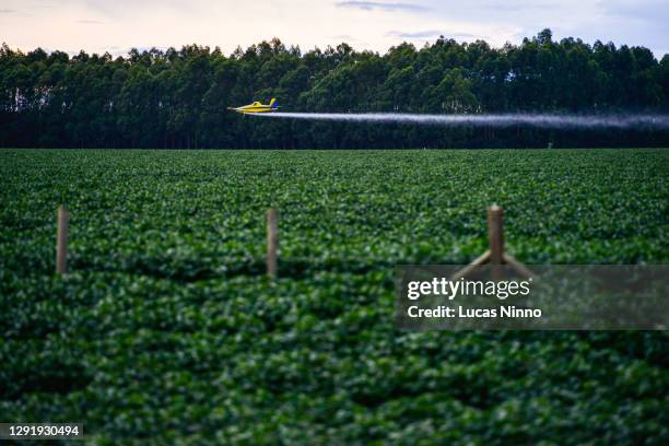 airplane spraying soybean crop - spraying soybeans stock pictures, royalty-free photos & images