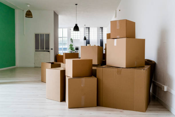 Where to Buy Moving Boxes in South Africa? 9 carboard boxes in living room of new house