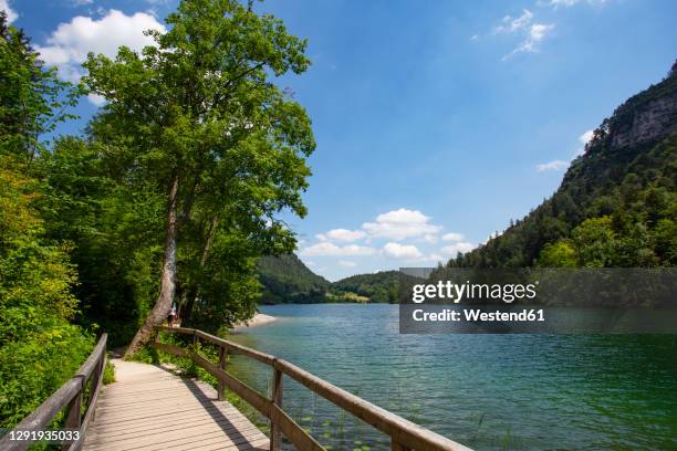 germany, bavaria, bad reichenhall, small wooden bridge on shore of thumsee lake in summer - berchtesgaden stock-fotos und bilder