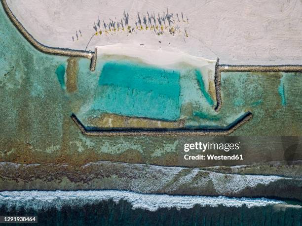 sunshades and palm trees on tropical beach, aerial view, huraa island, maldives - indian ocean stock pictures, royalty-free photos & images