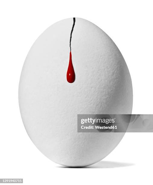 blood spilling from cracked chicken egg - scared chicken stock pictures, royalty-free photos & images