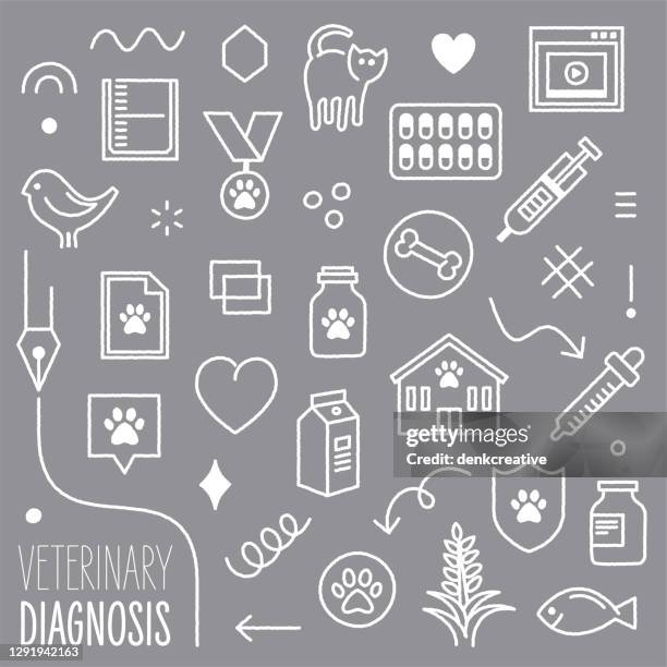 Veterinary Science Pattern Background 317 College Of Veterinary And Animal Sciences Stock Photos, High-Res ...