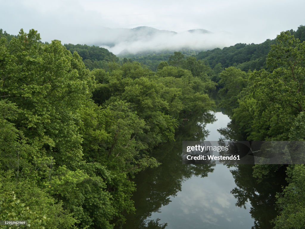 Drone view of Cumberland River surrounded by green lush forest