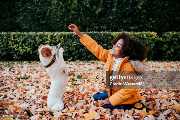 23,141 Animal Six Photos and Premium High Res Pictures - Getty Images 23,141 Animal Six Photos and Premium High Res Pictures - Getty Images