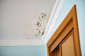 Mold-Infested Ceiling in a Bedroom – dangerous and health-damaging