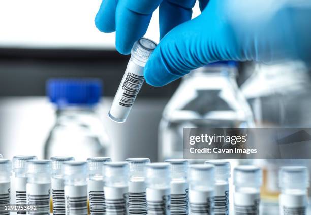 clinical testing, dna sample being prepared for testing in the lab. - genomics stock pictures, royalty-free photos & images