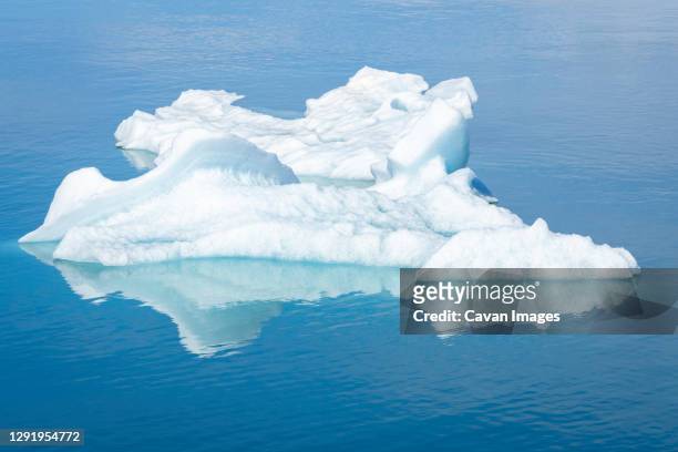 detail shot of icebergs floating on jokulsarlon glacier lagoon, iceland - istäcke bildbanksfoton och bilder