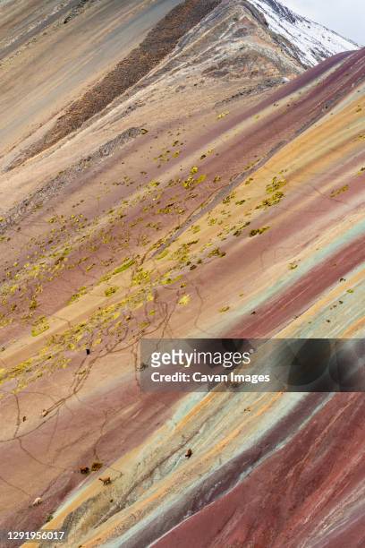 aerial view of llamas walking on colorful slope of rainbow mountain, pitumarca, peru - vinicunca photos et images de collection