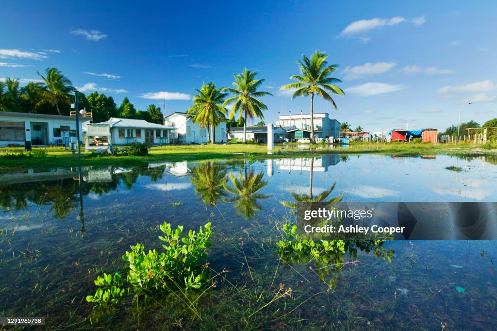 Flooded by sea water incursion at high tide onto Funafuti Atoll the main island of the Tuvalu nation. Global warming induced sea level rise threatens the very future of these low lying islands.