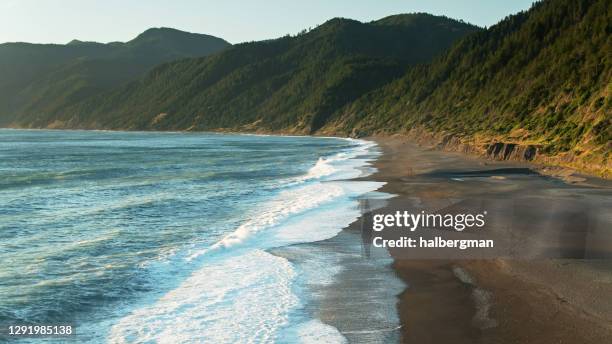 waves lapping beach bij shelter cove, californië - aerial - noordelijk californië stockfoto's en -beelden