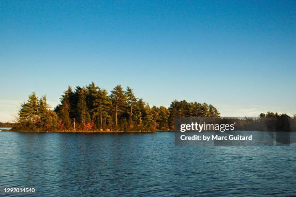 beautiful fall foliage in kejimkujik national park, nova scotia, canada - neuschottland stock-fotos und bilder