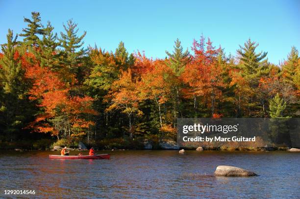 beautiful fall foliage in kejimkujik national park, nova scotia, canada - east stock pictures, royalty-free photos & images