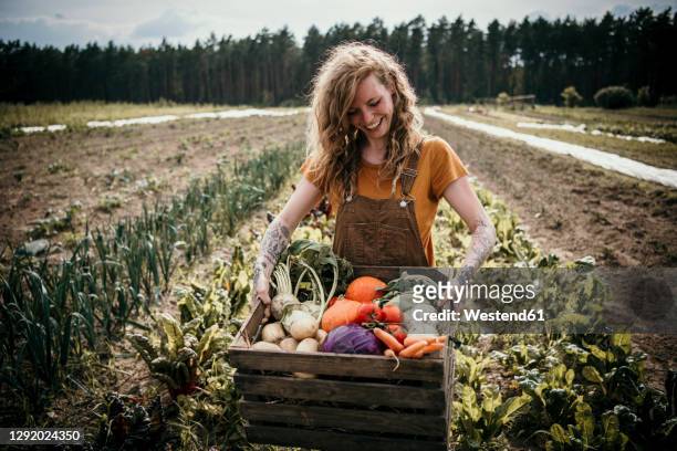 smiling farm worker carrying vegetable box while standing at farm - frische stock-fotos und bilder