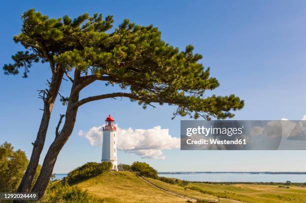 germany, mecklenburg-western pomerania, dornbusch lighthouse standing at coast of hiddensee island - hiddensee stock pictures, royalty-free photos & images