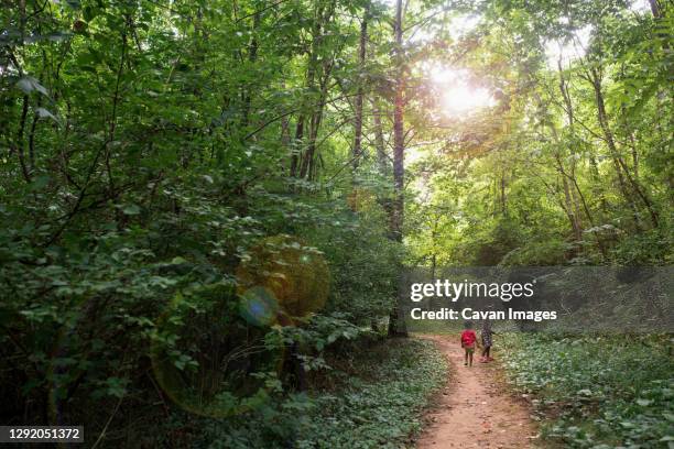 kids walking on a hiking trail in the forest - nashville park stock pictures, royalty-free photos & images