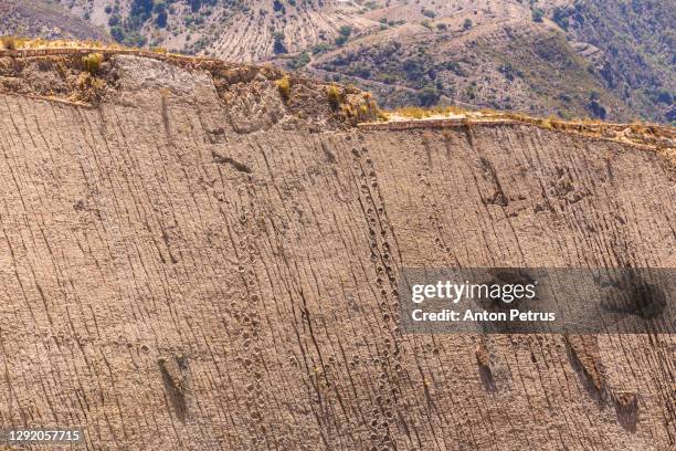 dinosaur footprints on a cliff face at parque cretacico, sucre, bolivia - cretaceous stock pictures, royalty-free photos & images