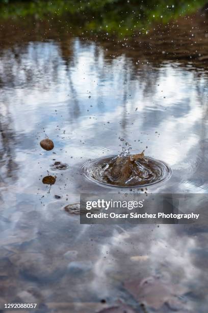 Stone Splashes Stone Splash Photos and Premium High Res Pictures - Getty Images