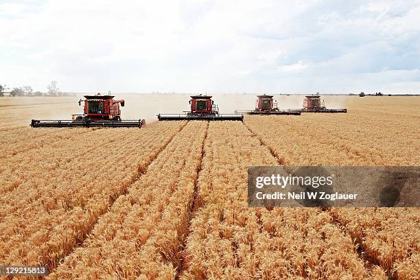 combine harvesting wheat field - agricultural machinery stock pictures, royalty-free photos & images