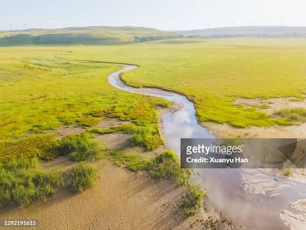 grassland in summer - han river stockfoto's en -beelden