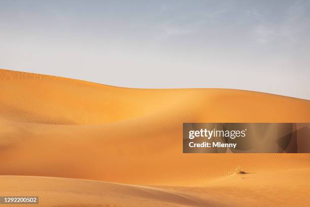 abu dhabi empty quarter desert dunes rub' al khali uae - desert sable stock pictures, royalty-free photos & images