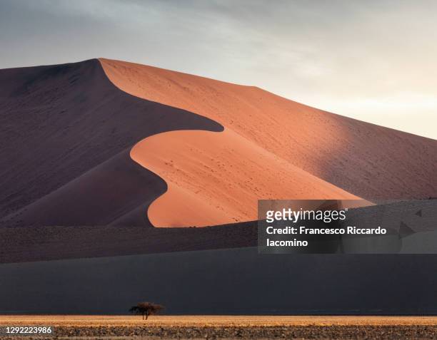 namib desert, dead vlei, namibia, africa. sand dunes at sunset - dead vlei namibia ストックフォトと画像