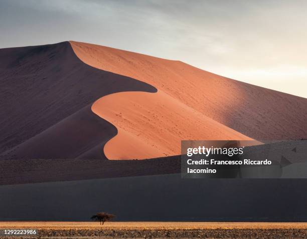 namib desert, dead vlei, namibia, africa. sand dunes at sunset - namib naukluft national park 個照片及圖片檔