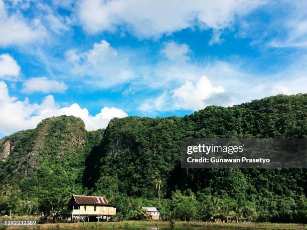 ramang-ramang maros, makassar, south sulawesi, indonesia - província de sulawesi sul - fotografias e filmes do acervo