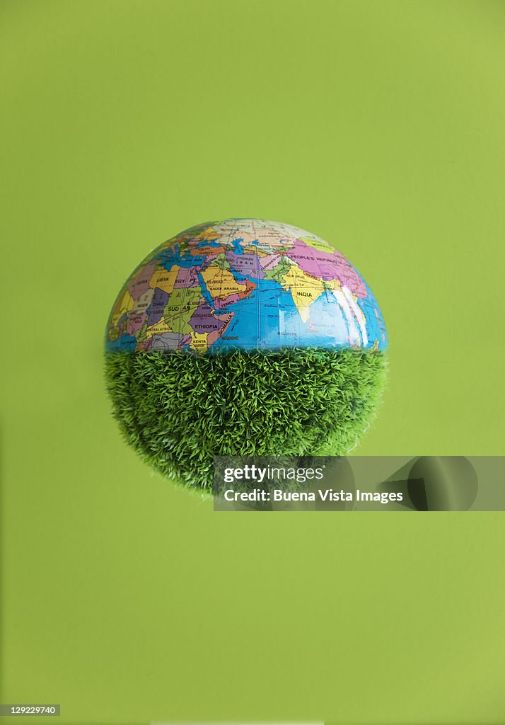A grass world globe on a green background