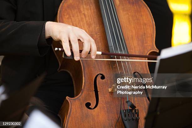 musical instrument - cello stock pictures, royalty-free photos & images