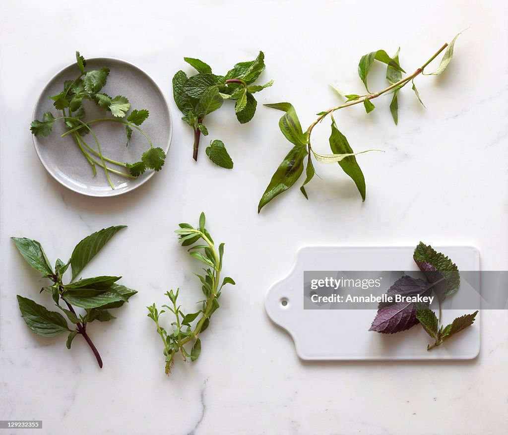 Asian Herb Still Life