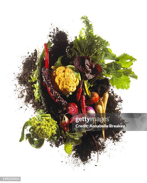 eat the rainbow, vegetable still life - tuber stock pictures, royalty-free photos & images