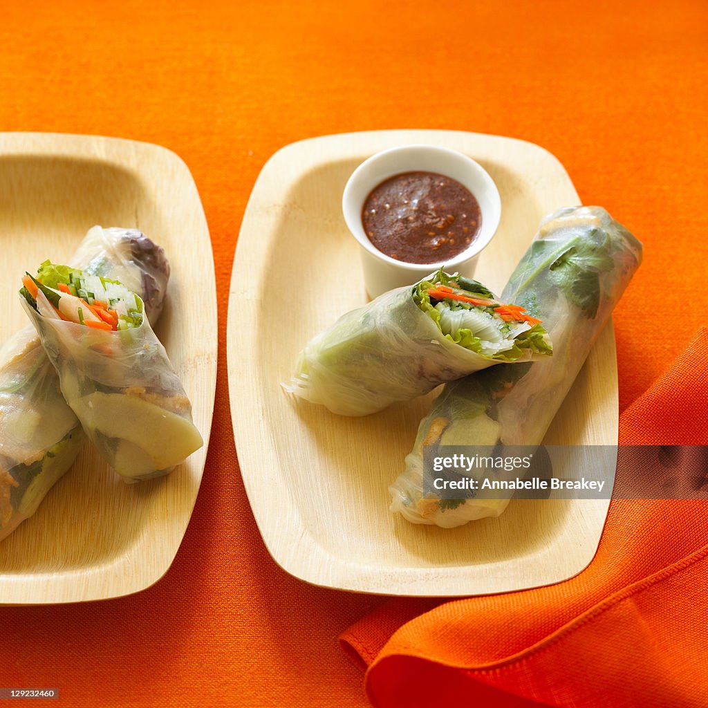 Vietnamese Noodle Spring Rolls