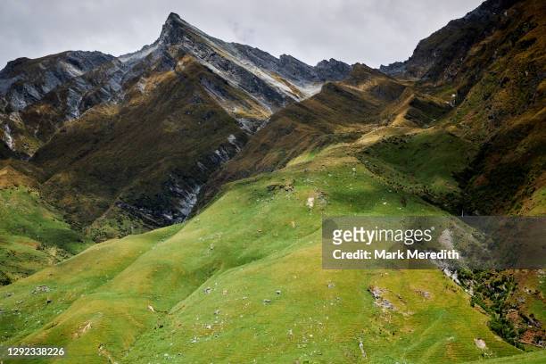 alpine scenery, mt aspiring national park - otago stock-fotos und bilder