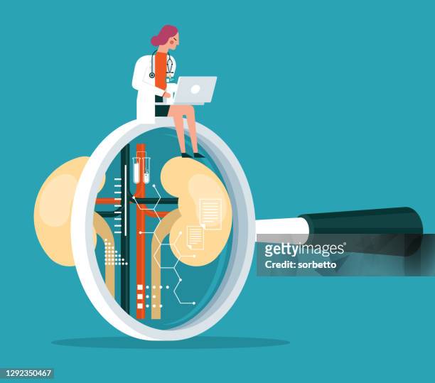 kidney organ - magnifying glass laptop stock illustrations