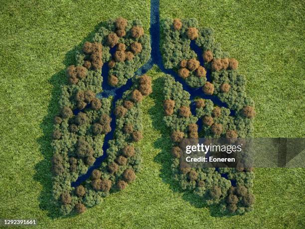 forest lung - climate change illustration stock pictures, royalty-free photos & images