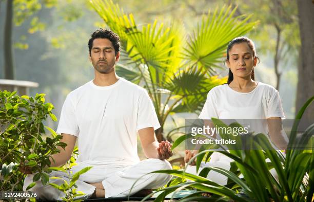 couple meditating at park - zen stock pictures, royalty-free photos & images