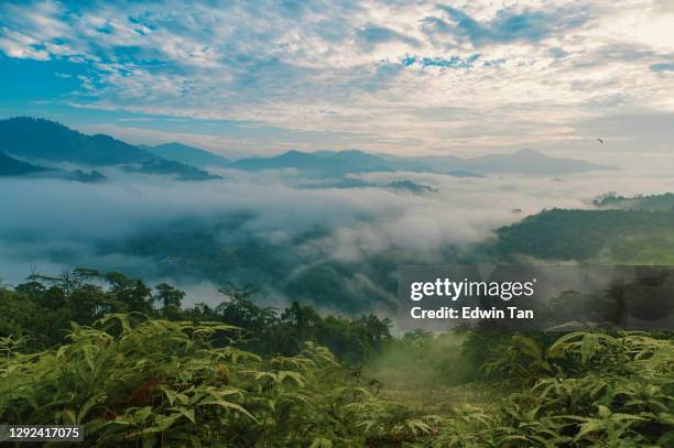 paysage de mer nuageux de lever de soleil du matin de montagne de forêt à cameron highland, état de pahang - malaisie photos et images de collection