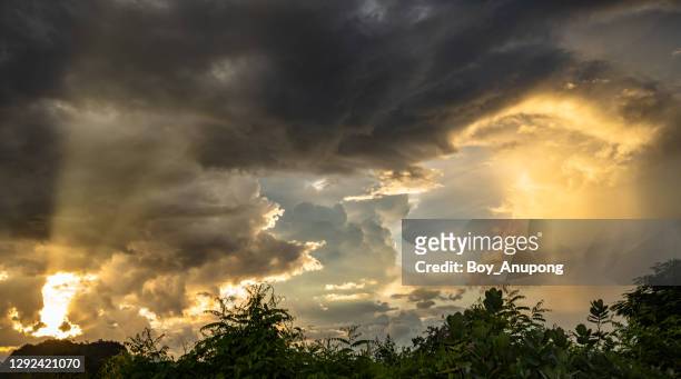 dramatic sky when the storm is coming. - storm clouds sun stock pictures, royalty-free photos & images
