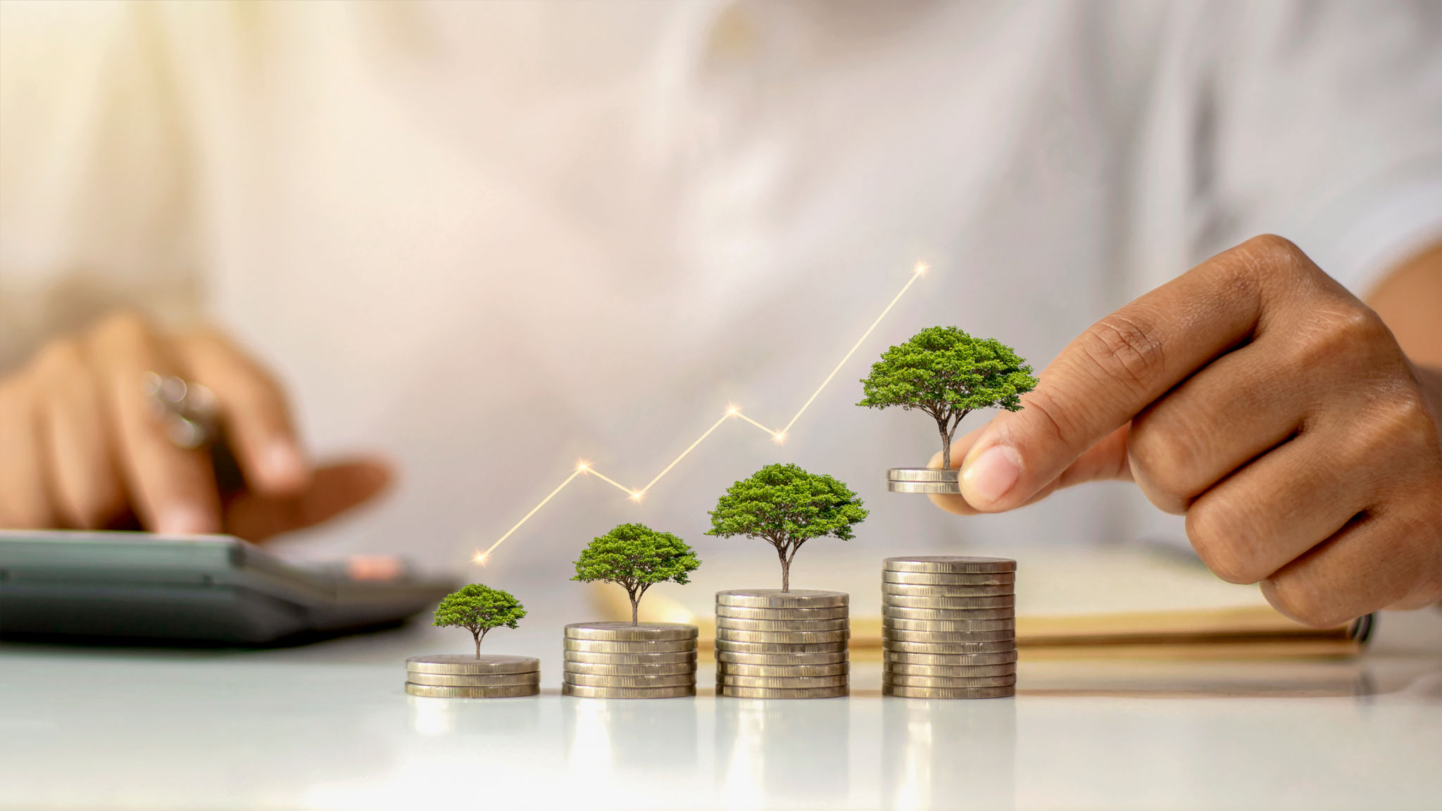 eco-friendly tax