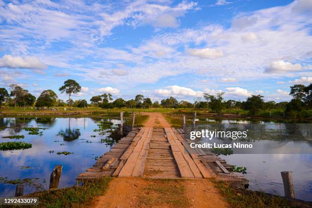 rustic bridge in pantanal wetlands - pantanal stockfoto's en -beelden