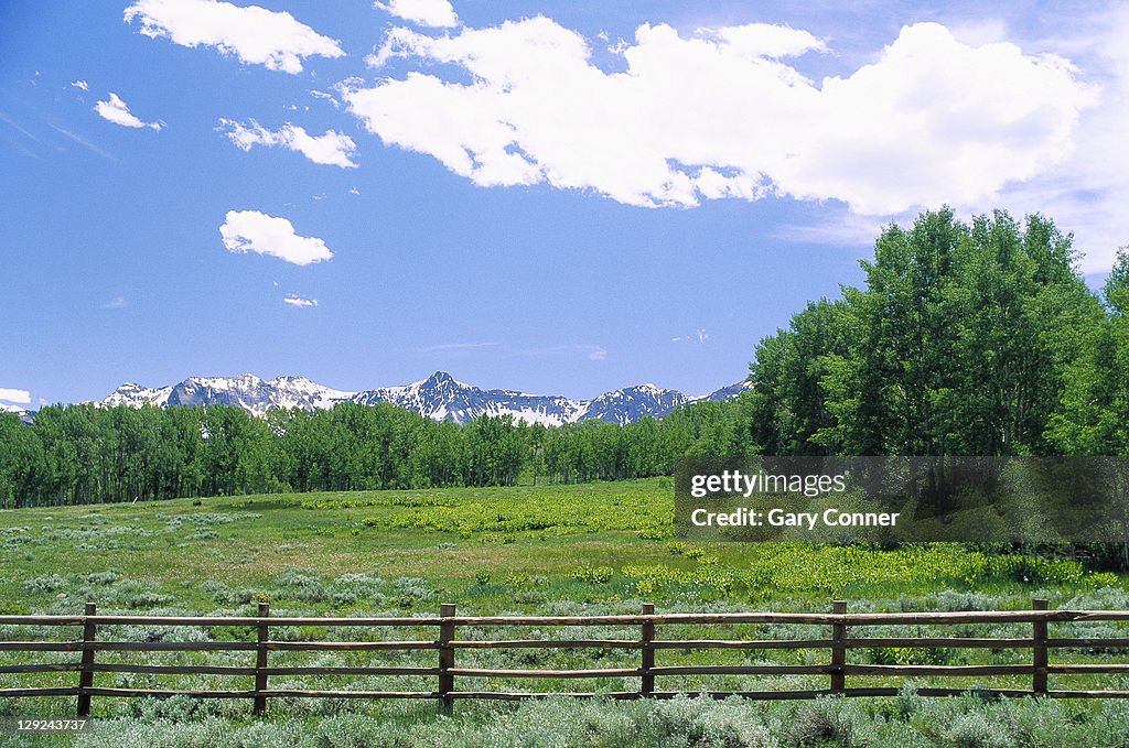 Farm fence with distant mountains, Ridgeway, CO