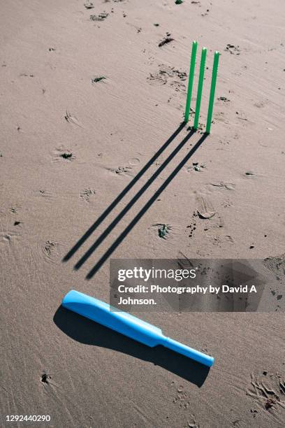 beach cricket. - beach cricket stock pictures, royalty-free photos & images